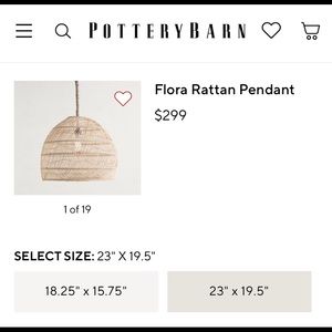 Pottery Barn Flora Rattan Light Fixture